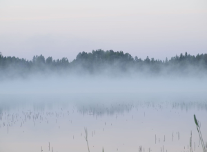 Kuvassa kylmä Suomen järvimaisema
