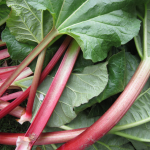 Kivennäisaineita raparperista! – kesän superfood