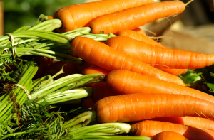 Tuoreita, oransseja porkkanoita naatteineen myyntipöydällä