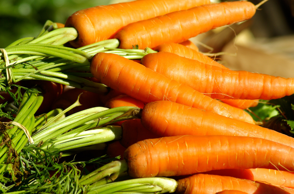 Tuoreita, oransseja porkkanoita naatteineen myyntipöydällä