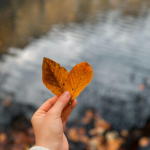 Väsynyt ja nuutunut olo? – Näin keho muuttuu syksyllä tutkitusti