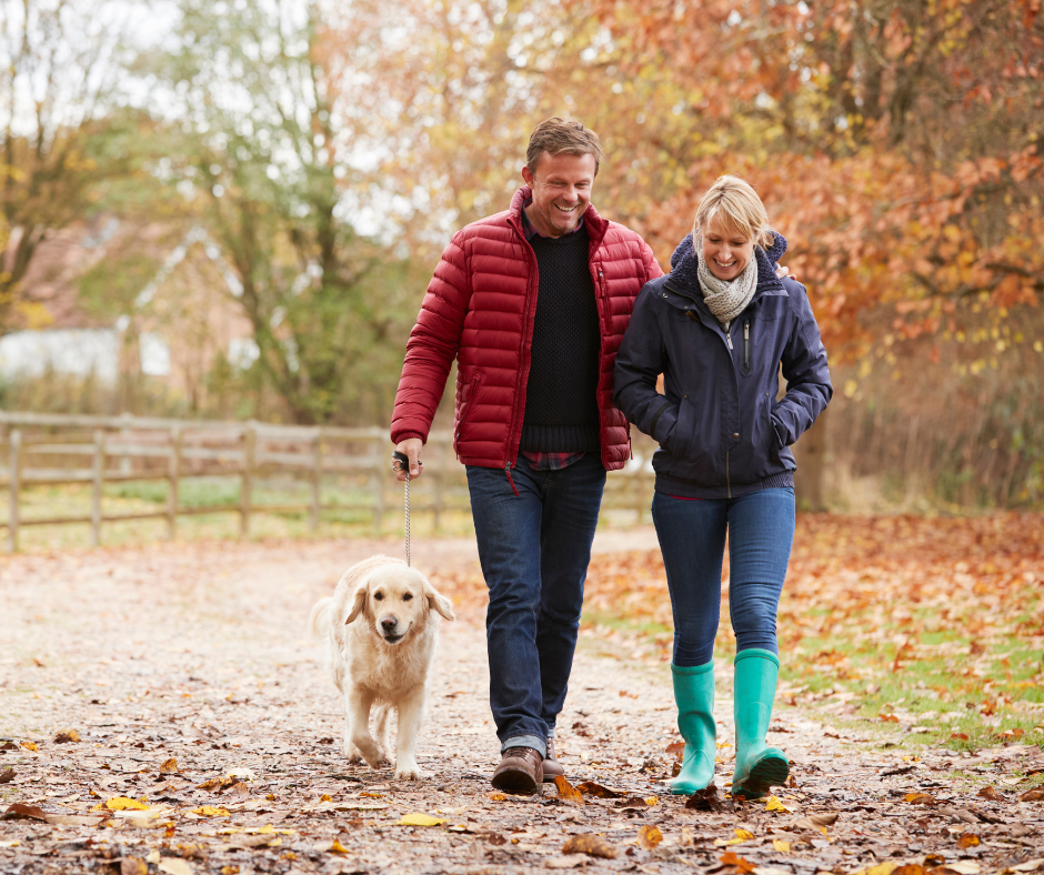 Kuvassa pariskunta kävelee ulkona syksyisellä säällä kultaisenoutajan kanssa.