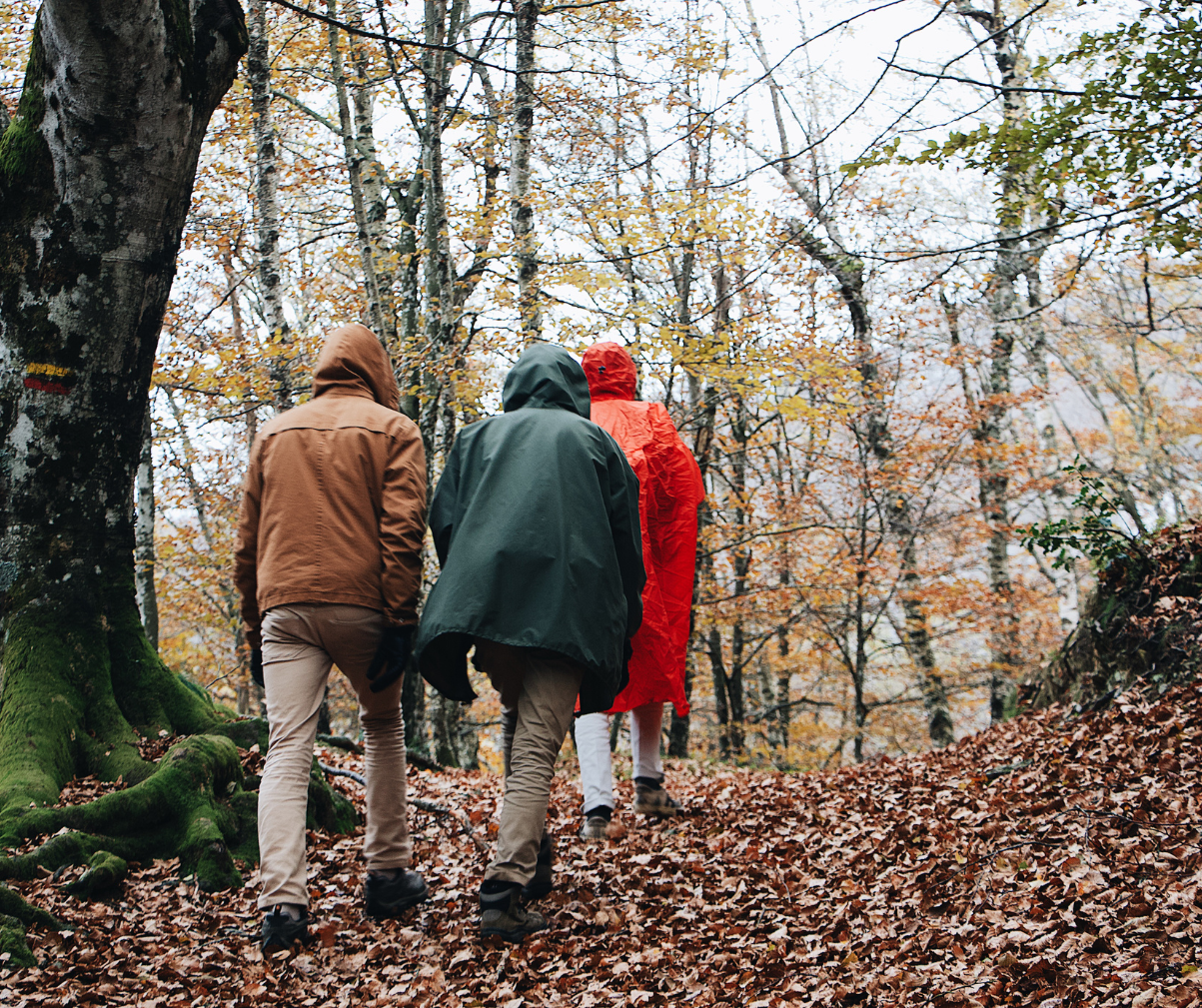 Kuvassa kolme henkilöä on päättänyt lähteä syksyiseen metsään metsäretkelle