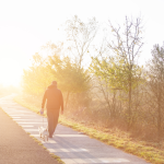Milloin kannattaa lähteä kävelylle? Eri kellonajoilla yllättäviä eroja
